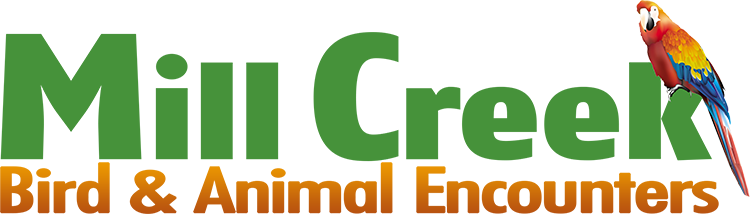 Mill Creek Animal and Bird Park