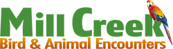 Mill Creek Bird & Animal Encounters